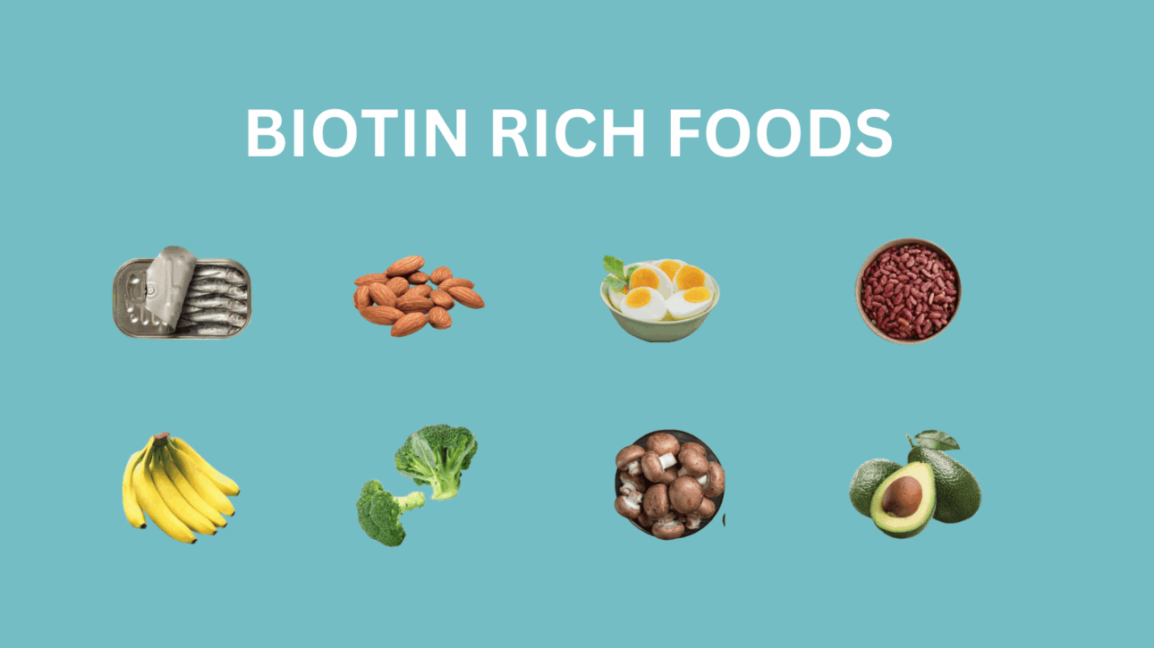 Copy of Vitamin E Foods